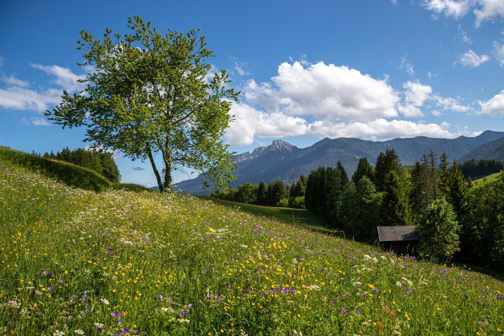 Hotel Krone Tirol Ройте Экстерьер фото